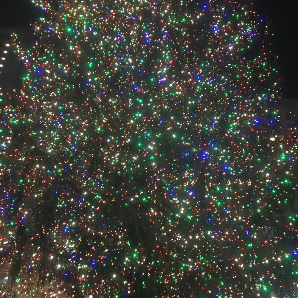 Meet your Posher, Jasmina